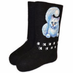 Валенки "Мурзик" (120А)