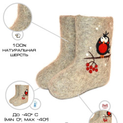 Валенки "Птенчик" (257Н)