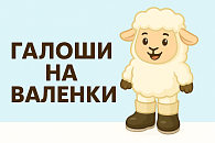 Галоши на валенки