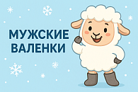 Мужские валенки
