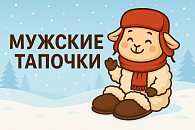 Мужские тапочки
