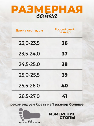 Полуваленки женские комбинированные с прозрачными галошами (300КЖ-СП) фото 2 Полуваленки женские комбинированные с прозрачными галошами (300КЖ-СП) фото 2